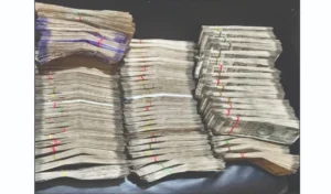 dgjgjgjdg-2026-01-18-00-52-59 (1)