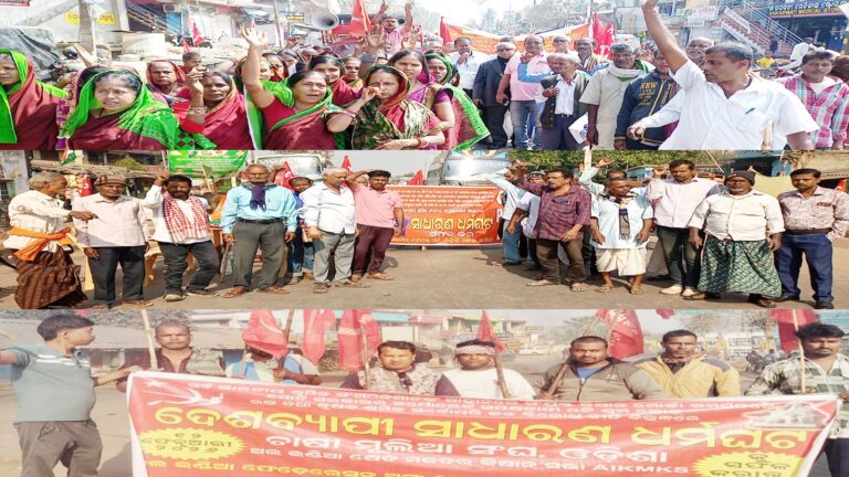 WhatsApp Image 2026-02-12 at 18.24.07