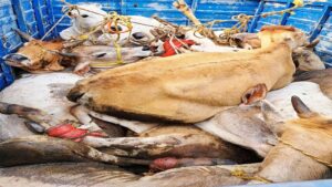 WhatsApp Image 2026-03-13 at 21.31.26