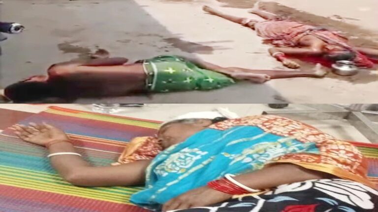 WhatsApp Image 2026-03-14 at 19.29.09