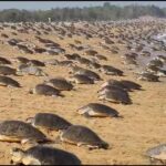 WhatsApp Image 2026-03-15 at 19.09.34