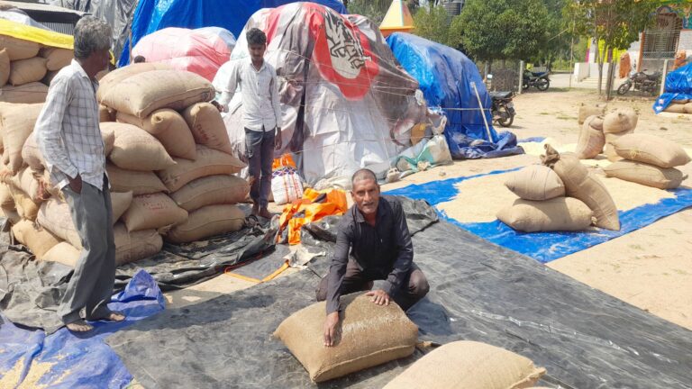 WhatsApp Image 2026-03-23 at 20.34.10