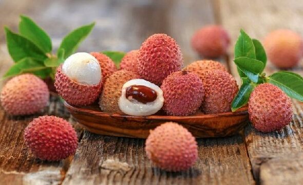 litchi