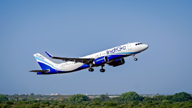 indigo
